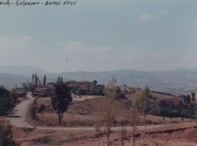 Gölpazarı-Baltalı Köyü