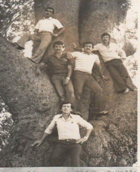 Bursa Orhangazide dev çınar 1981 Yukarıdan aşağıya- Mustafa Turan-Mustafa Bodur-Tuğrul Süren-Mehmet Bursalı-Vahit Savaş